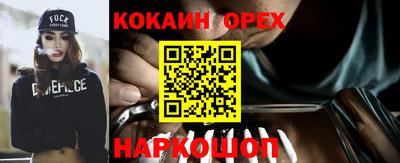 дмт Славгород