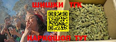 стаф Сланцы
