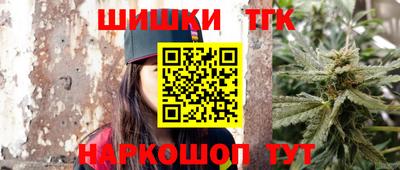дмт Славгород