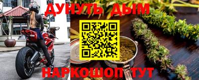 дмт Славгород