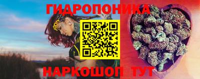 прущие грибы Славянск-на-Кубани