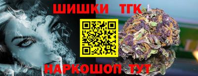дмт Славгород