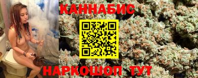 дмт Славгород