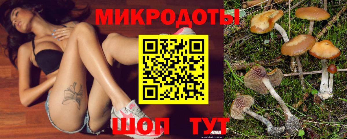 Новотроицк  Псилоцибиновые грибы GOLDEN TEACHER  Вход с VPN 