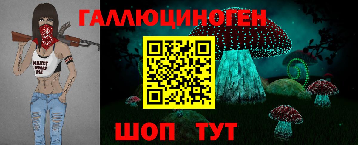 Псилоцибиновые грибы GOLDEN TEACHER Новотроицк